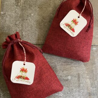 Holiday Hawaiian Soap Gift Pack with Hawaiian Beeswax Lip Balm // 1 x Soap and 1 x Lip Balm Combo