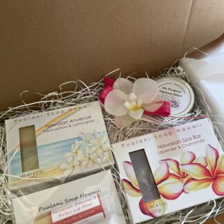 Hawaiian Rainbow Soap Set with Hawaiian Beeswax Salve and Lip Balm