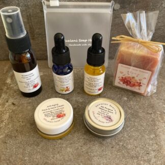 Hawaiian Natural Skincare Travel and Sample Set (7 items)